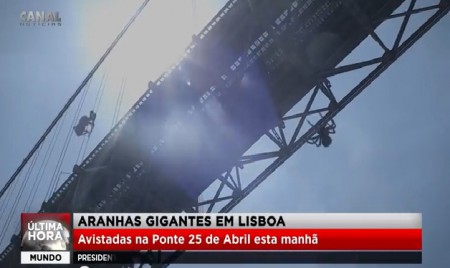 Parece incrível !!Muito real, Aranhas gigantes filmadas durante uma reportagem em directo no jornal da tarde!